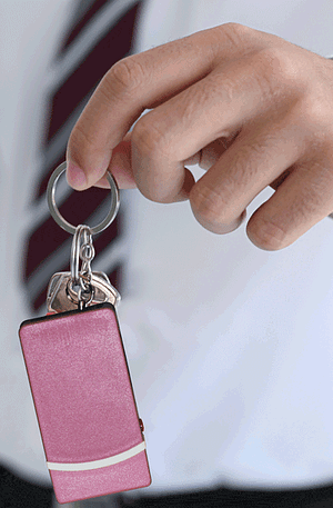 Fang Keychain Stun Gun and Flashlight with Battery Meter